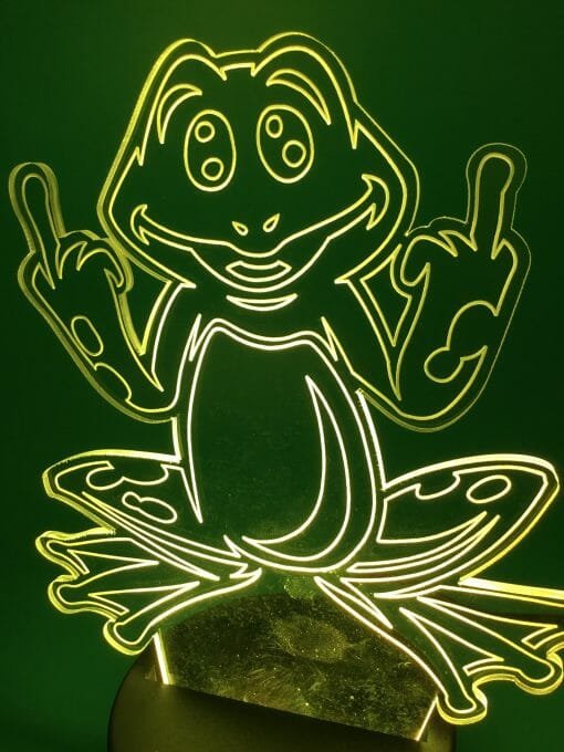 What The Frog? -3D LED Lamp Night Time bed lamp - Night light -Middle Finger Frog light - Toad time nightlight - Frogs a plenty