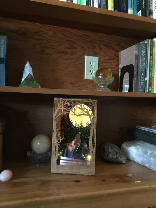 Handcrafted Wolf Nook - Lighted Book Nook - Image 6