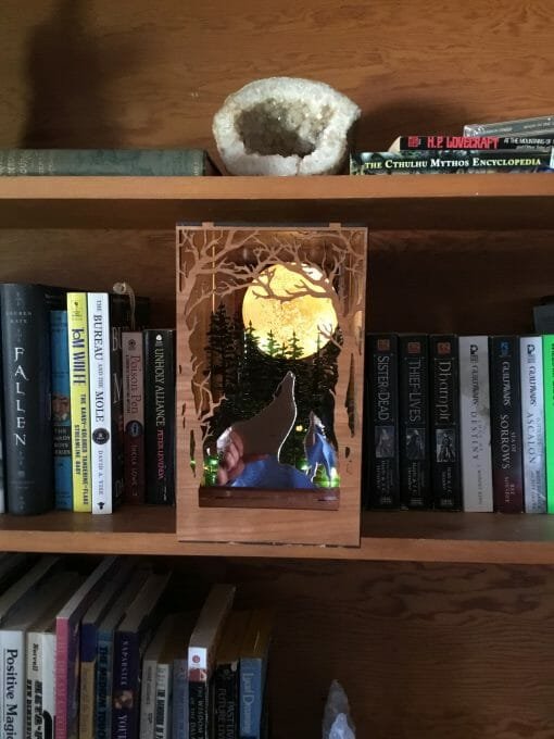 Handcrafted Wolf Nook - Lighted Book Nook - Image 7