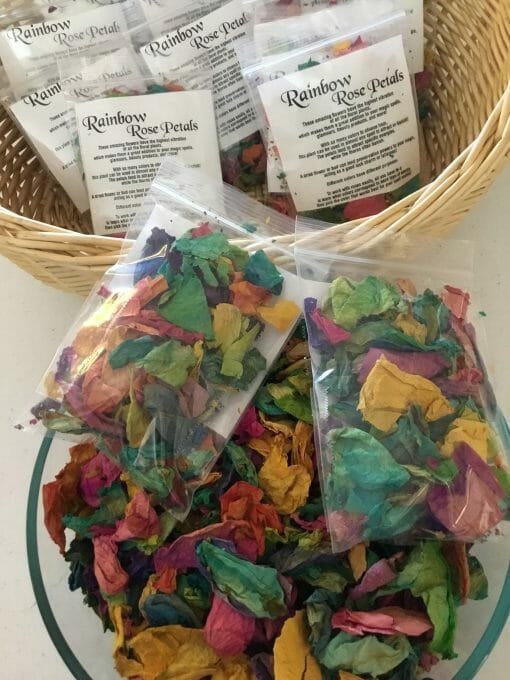Rainbow Rose Petals - Image 8